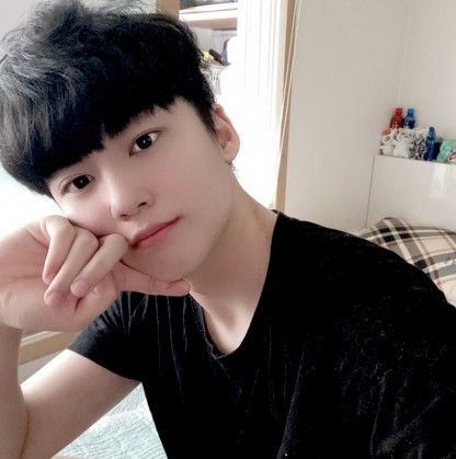 피버-