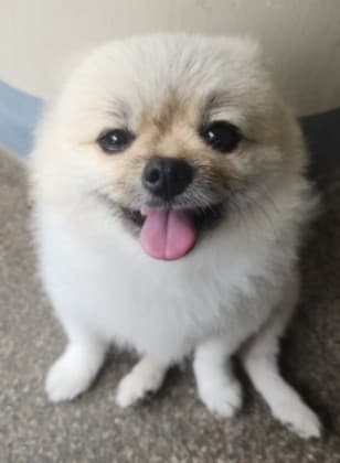 목 프로필