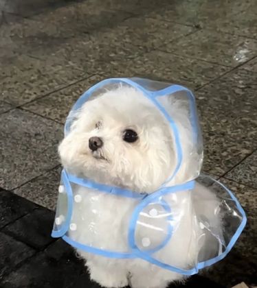 류희!