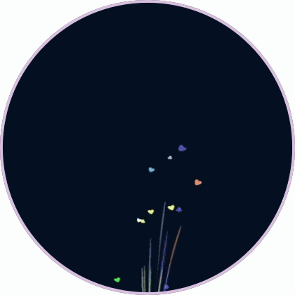 꿀릉이