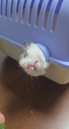 이건희다