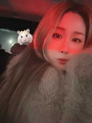 싱댜히