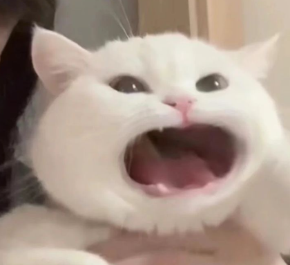 별별-☆