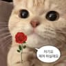 힝구리별별 프로필