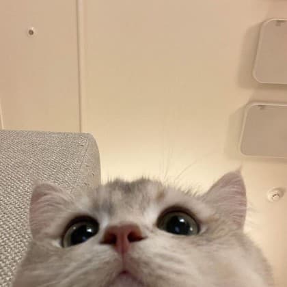 유빈콩
