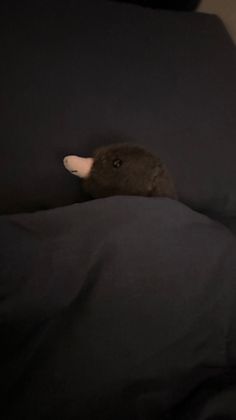 딱한이