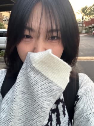 엔피_
