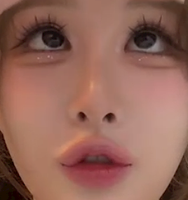 니오빠쩔더라 프로필