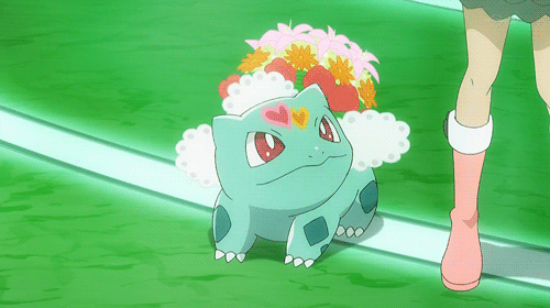 SC3..이강모 프로필
