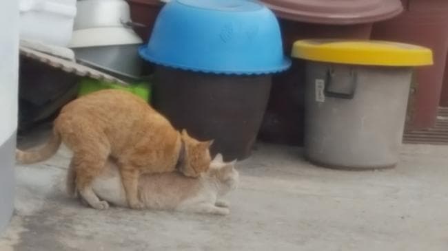 패션녀 프로필