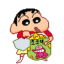 딱정면