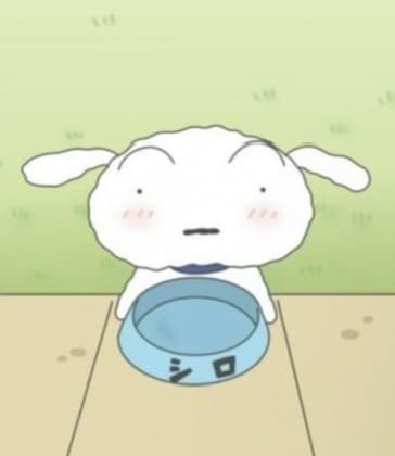 흰둥이... 프로필