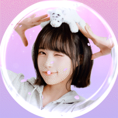 다라츄 프로필