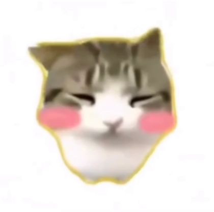 뉴애옹