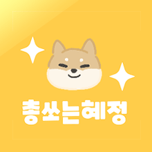 총쏘는혜정 프로필
