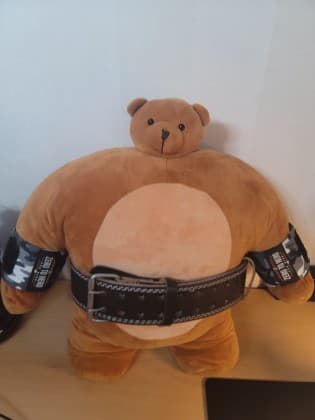 곰동석 프로필