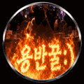 용반꿀:) 프로필