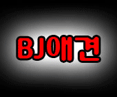 [던파]BJ애견