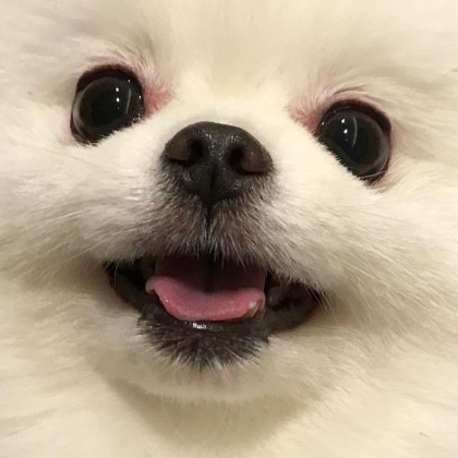 한빈뽀