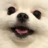 한빈뽀 프로필