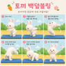 토끼백덤블링 프로필