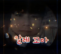 알레꼬마 프로필