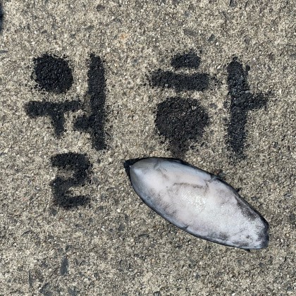 °월하°