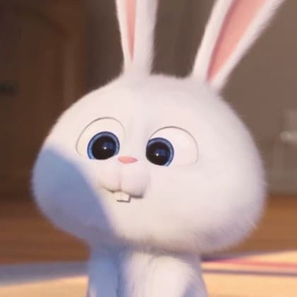 송지금