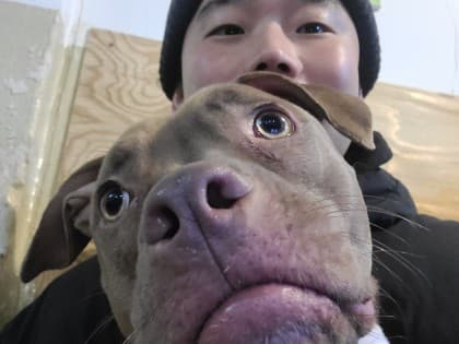 내골박