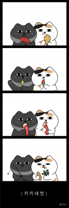 숰퐄