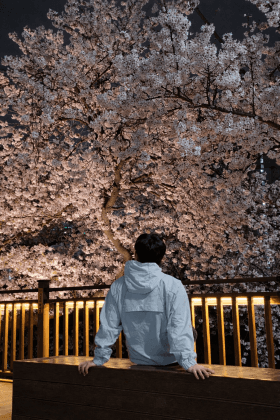 박그녕