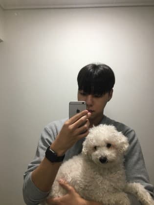 애견용품