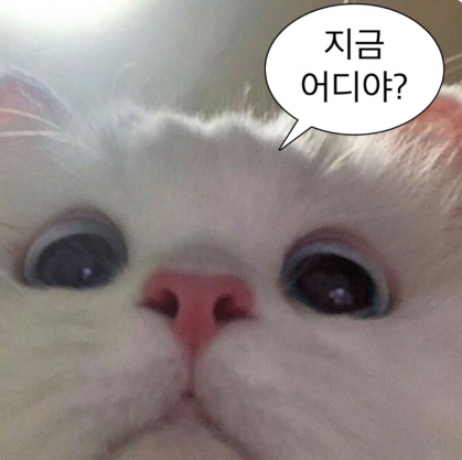 seoyuI