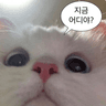 seoyuI 프로필