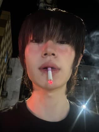 질풍노도식