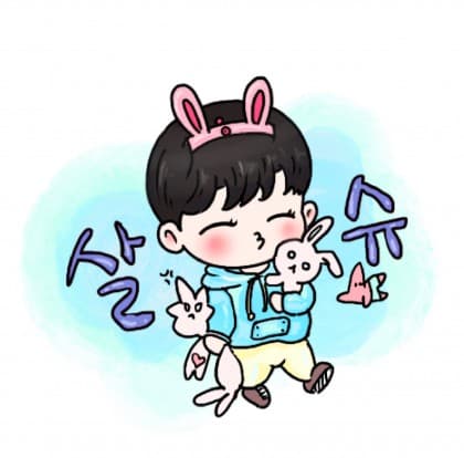 김살슈