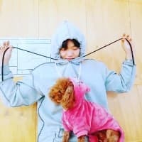 찰지지