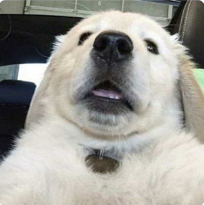 텅투