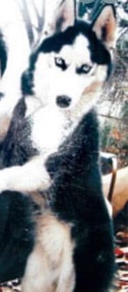 강호순 프로필