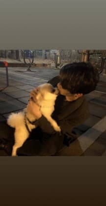 냠냠잼잼