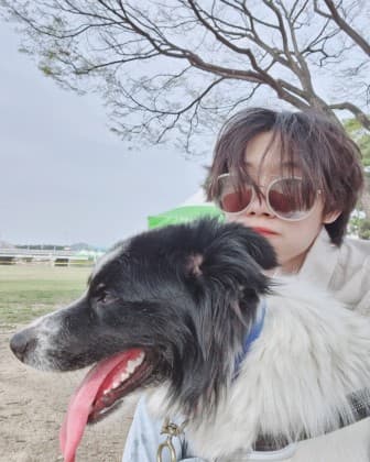 BJ비니비