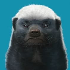왕오솔