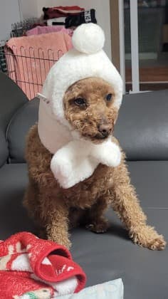 끈적ㅠ_ㅠ 프로필