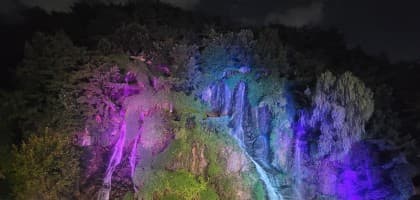 ♤바라기 프로필