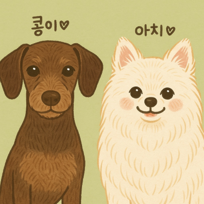 아이서운해