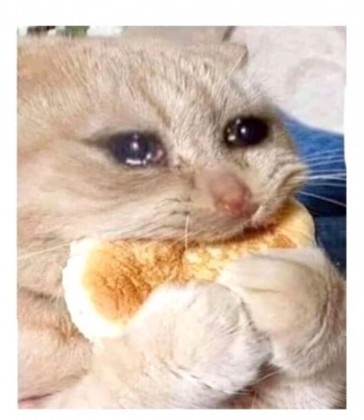 그레이몬레몬