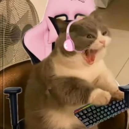 하둥-_-