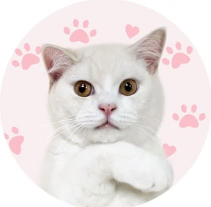 채경♡