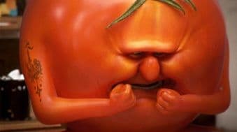 이걸마토가 프로필