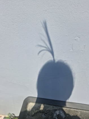 썰쓰아